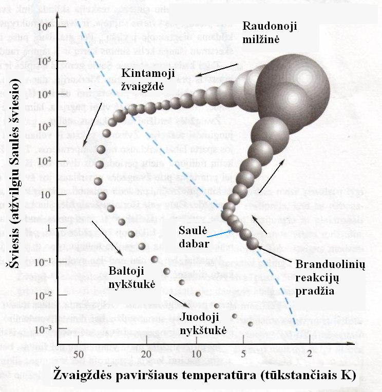 Zvaigzdzių Evoliucija